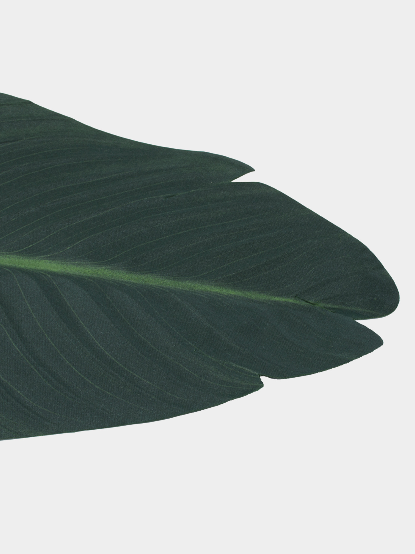 Штучне листя "Banana Tree" Engard модель TW-52 Фото