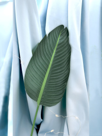 Штучне листя "Banana Tree" Engard модель TW-52 Фото