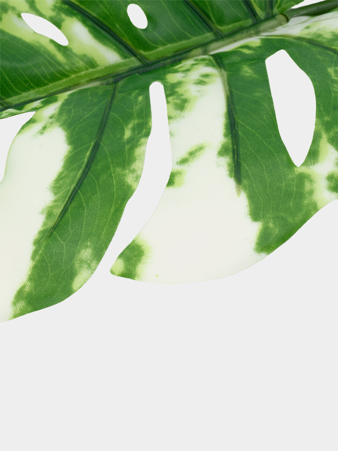 Искуственный лист "Monstera Alba" Engard модель TW-54 Фото