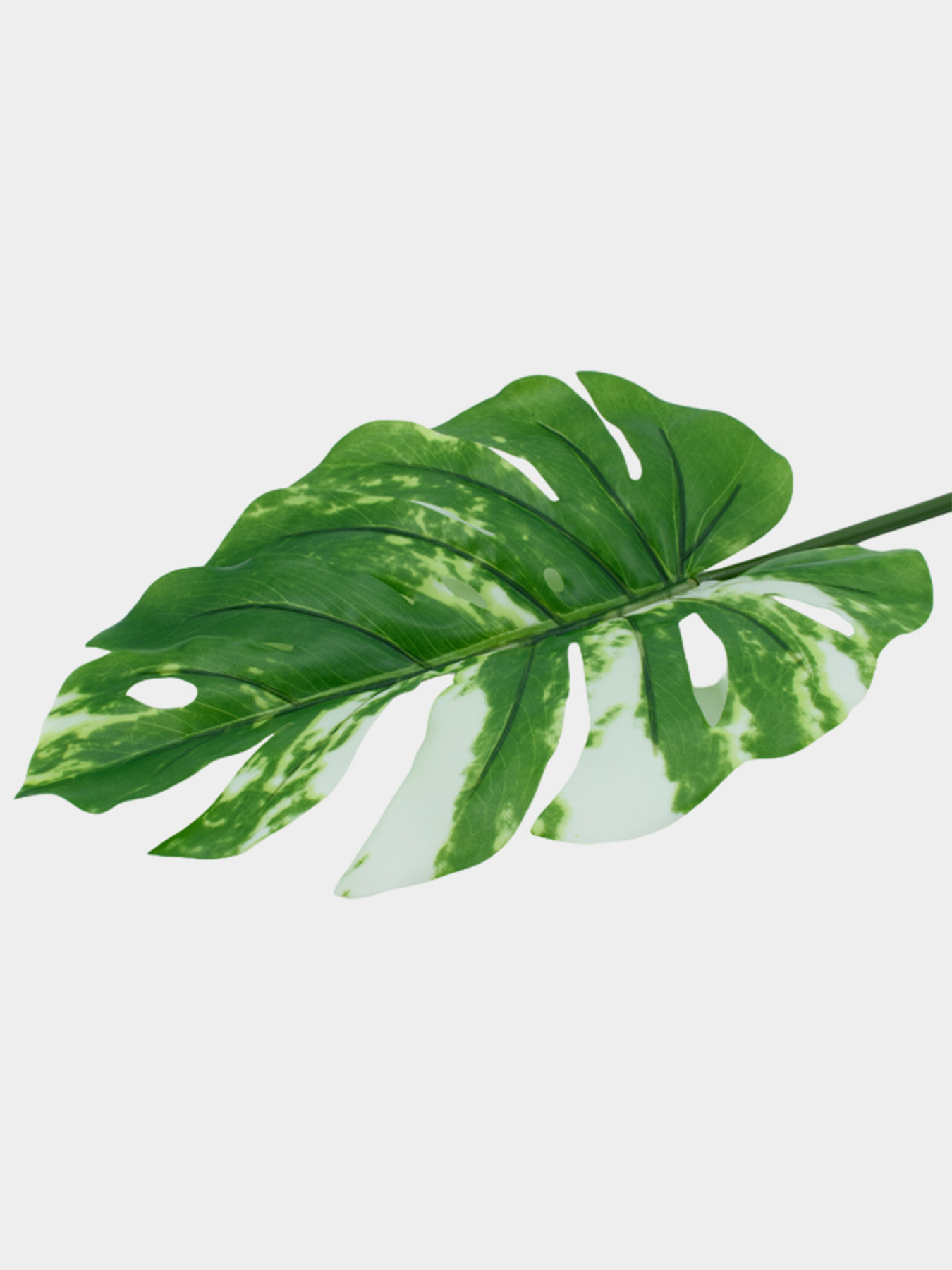Искуственный лист "Monstera Alba" Engard модель TW-54 Фото