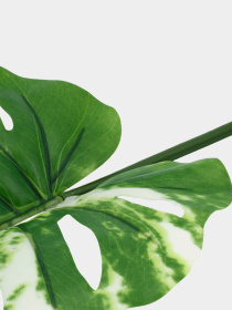 Искуственный лист "Monstera Alba" Engard модель TW-54 Фото