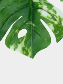 Искуственный лист "Monstera Alba" Engard модель TW-54 Фото