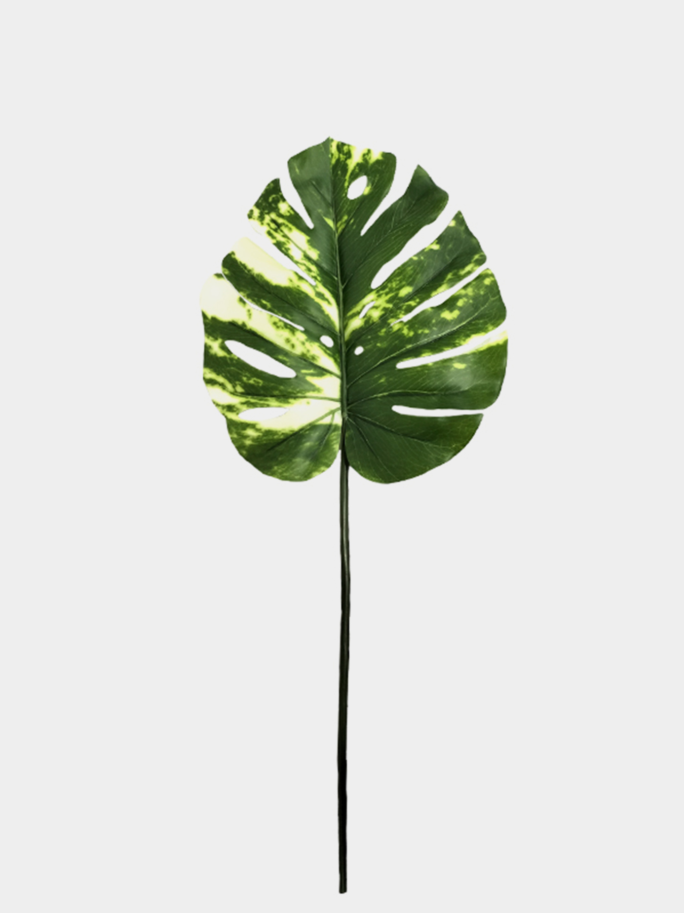 Штучне листя "Monstera Alba" Engard модель TW-54 Фото