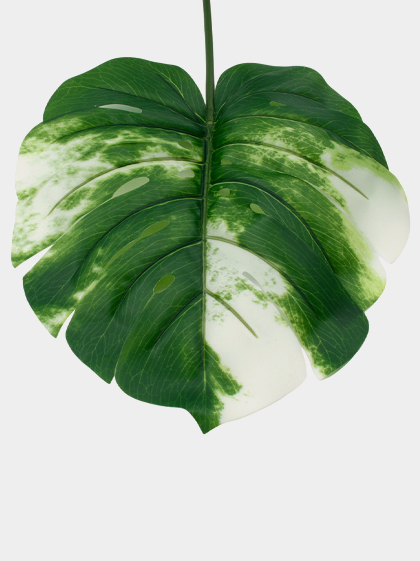 Искуственный лист "Monstera Alba", 78 см Engard модель TW-55 Фото