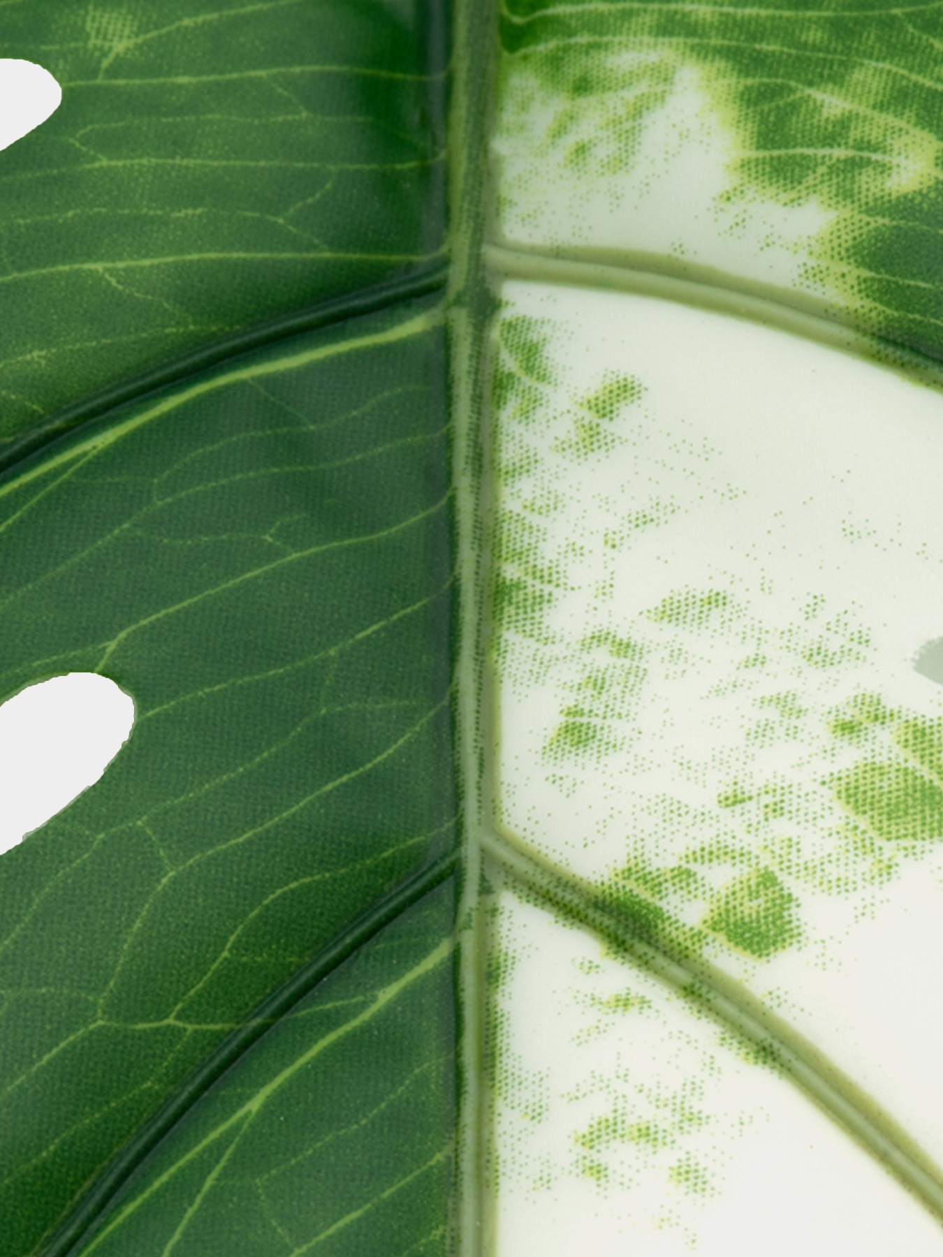 Искуственный лист "Monstera Alba", 78 см Engard модель TW-55 Фото