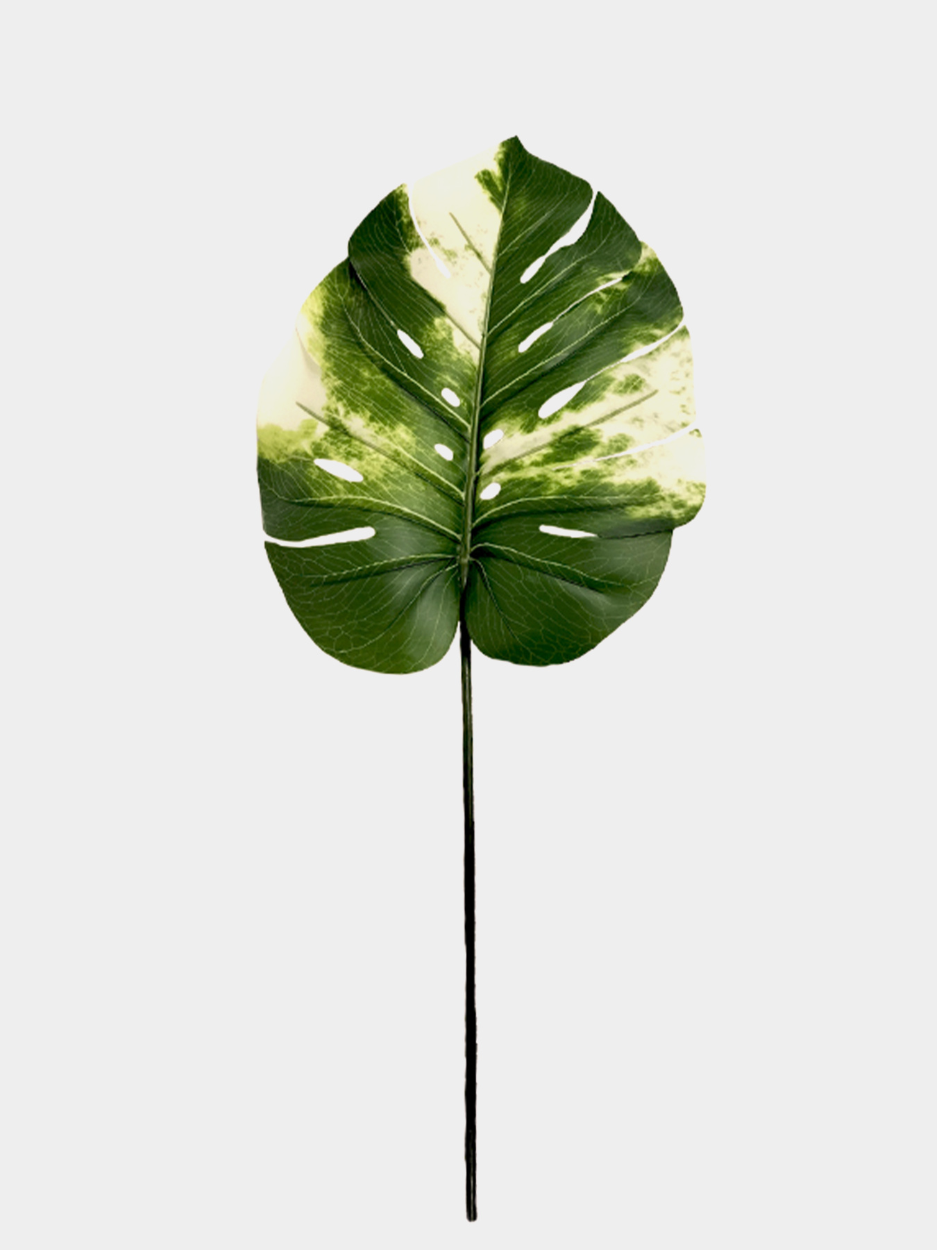 Искуственный лист "Monstera Alba", 78 см Engard модель TW-55 Фото
