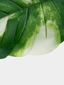 Искуственный лист "Monstera Alba", 78 см Engard модель TW-55 Фото