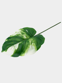 Штучне листя "Monstera Alba", 78 см Engard модель TW-55 Фото