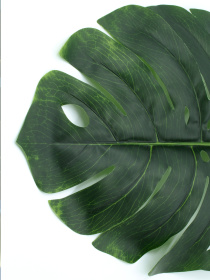 Искусственный лист "Monstera" Engard модель TW-06 Фото