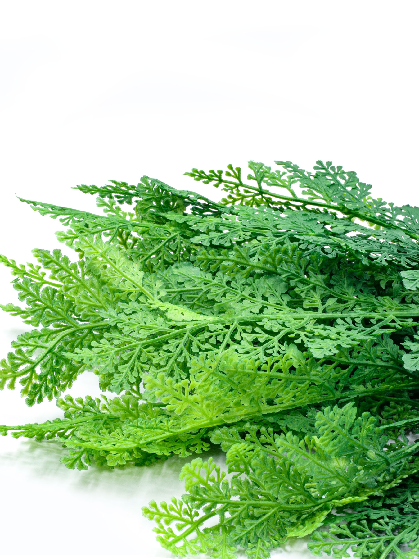 Искусственная ветка "Папороть" Engard модель TW-45 Фото