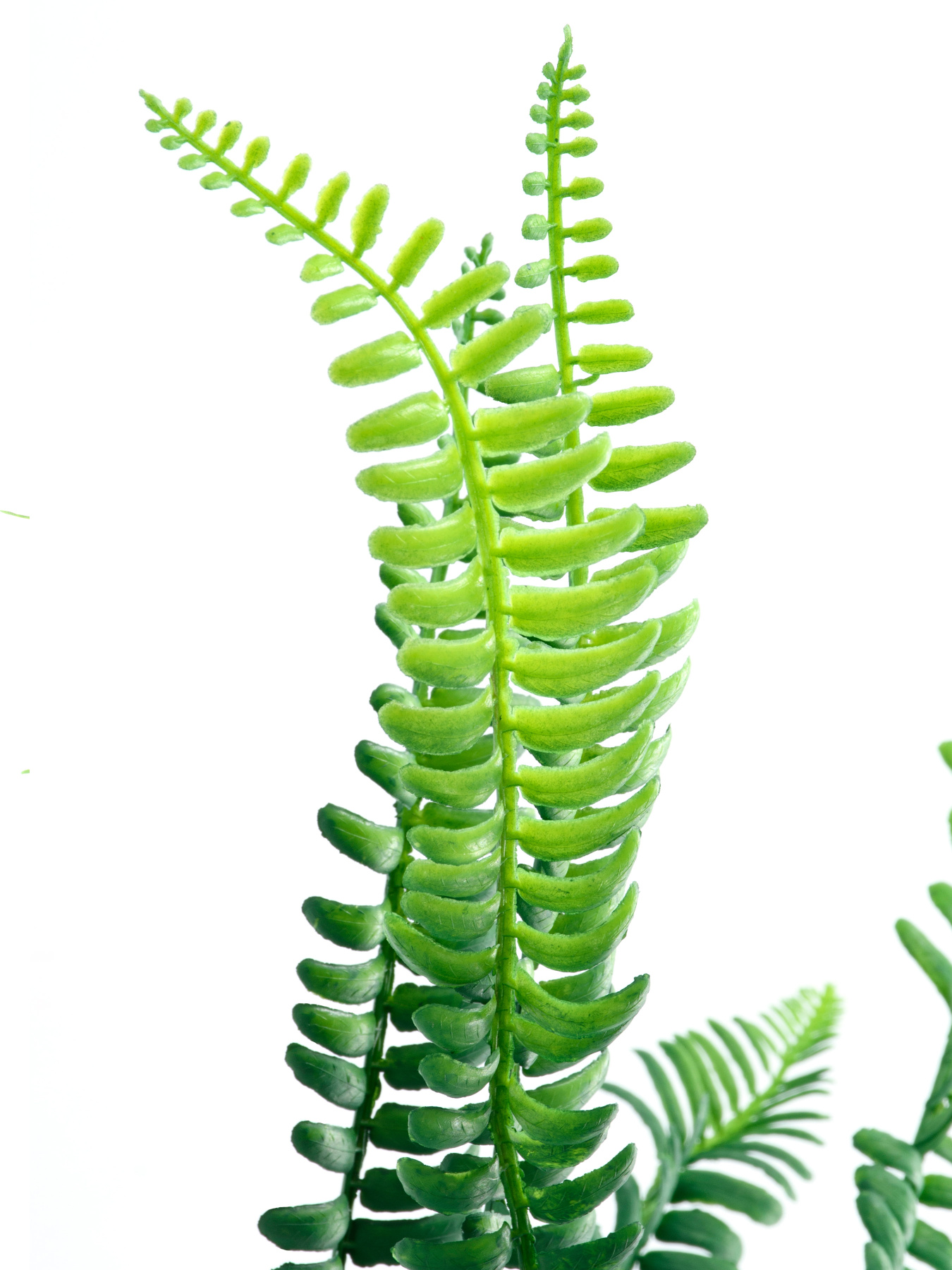 Искусственная ветка "Папоротник" Engard модель TW-46 Фото