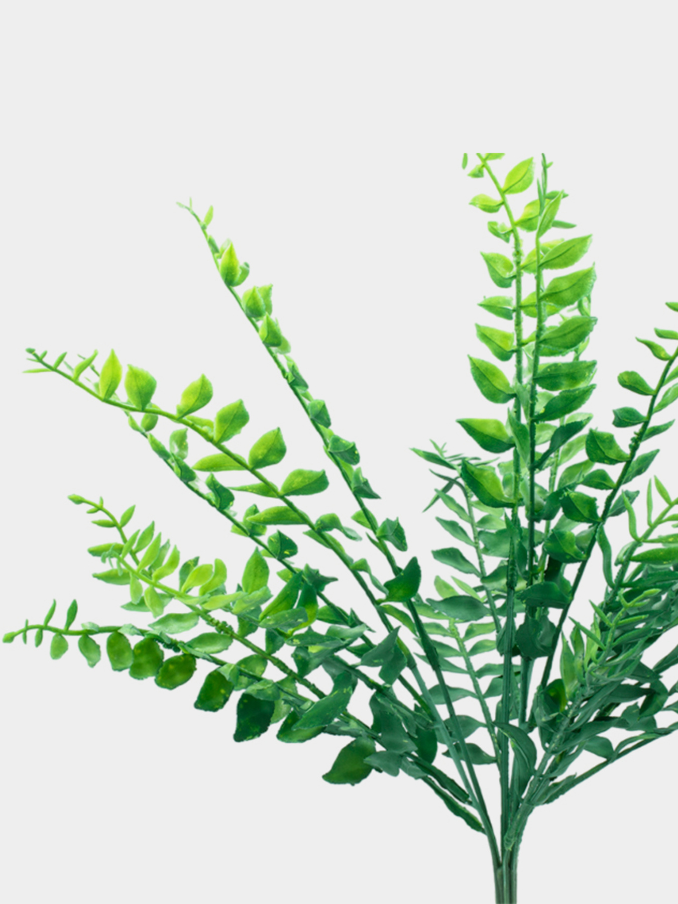 Штучна гілка Engard модель TW-47 Фото