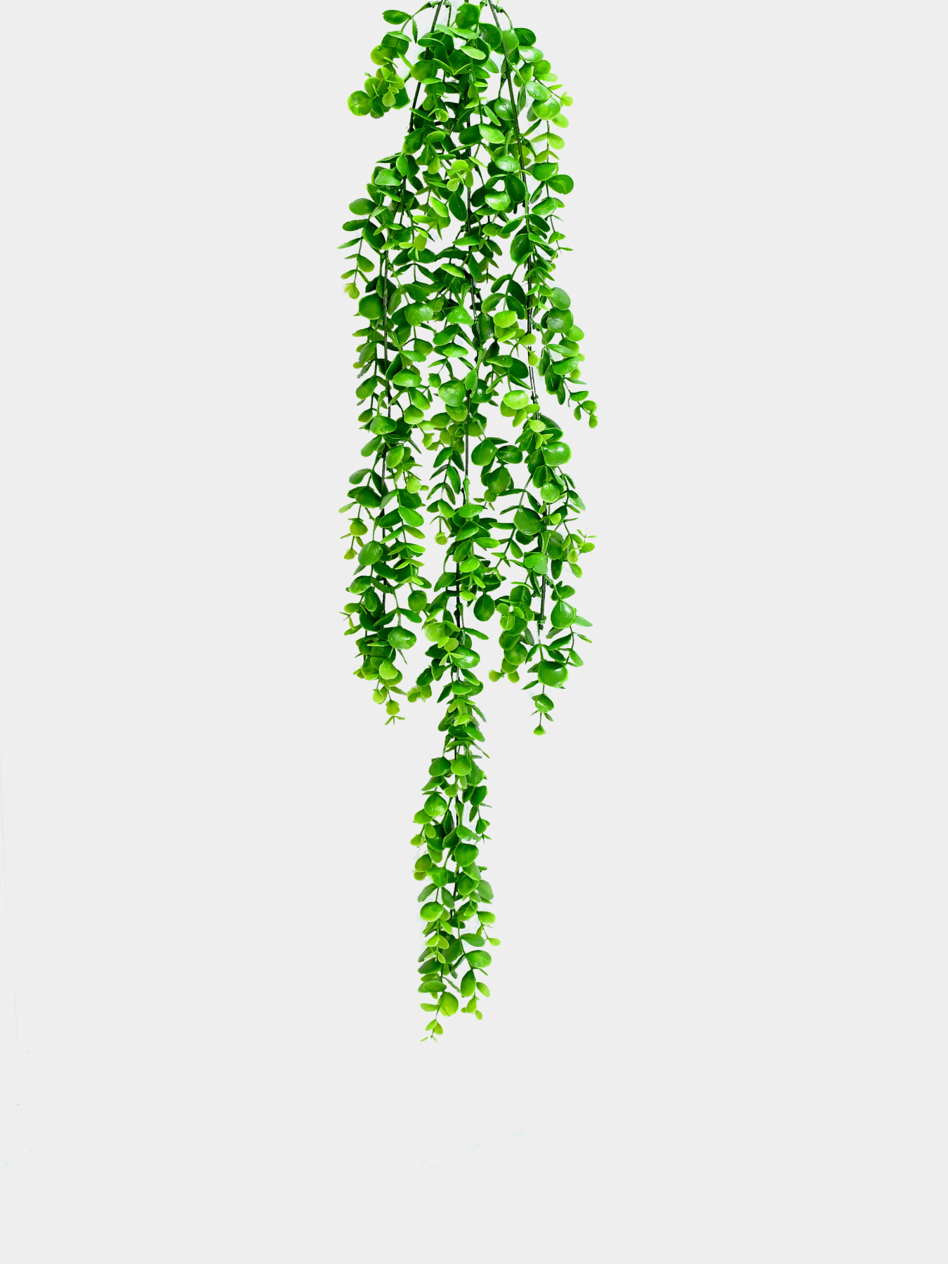 Искусственная ветка "Самшит", 80 см Engard модель TW-30 Фото