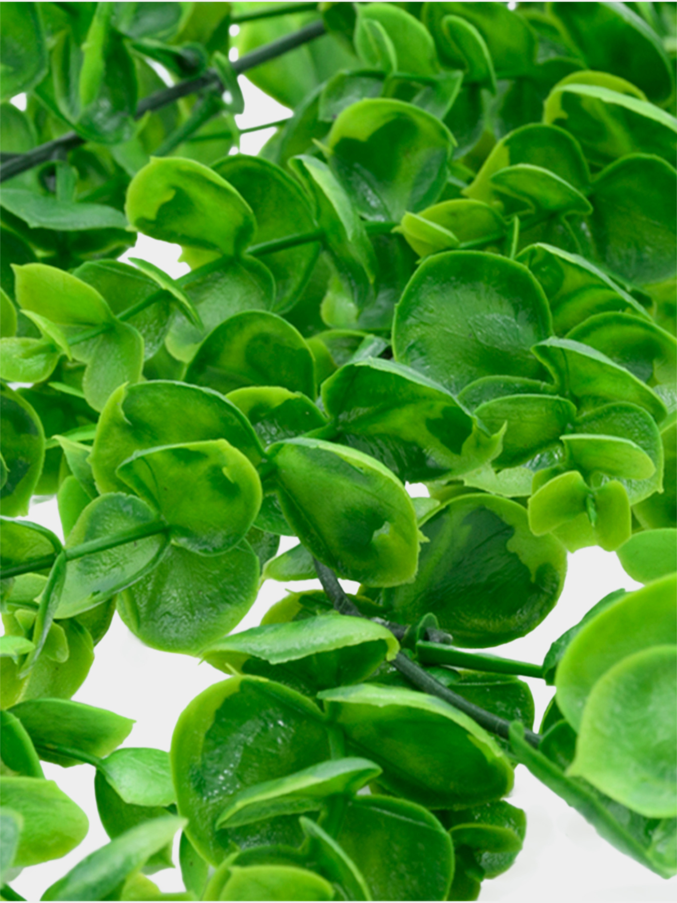 Искусственная ветка "Самшит", 80 см Engard модель TW-30 Фото