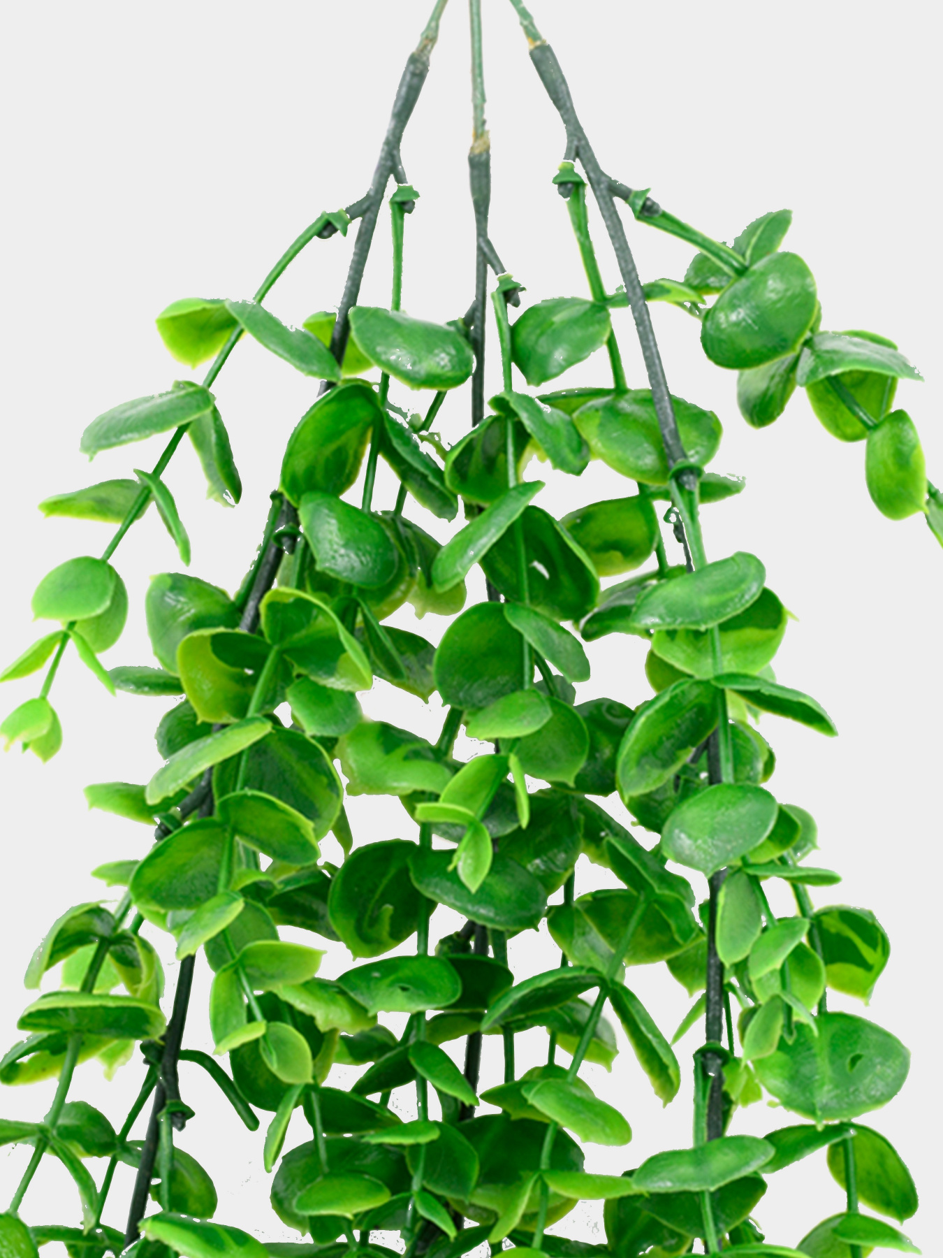 Искусственная ветка "Самшит", 80 см Engard модель TW-30 Фото