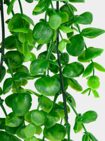 Искусственная ветка "Самшит", 80 см Engard модель TW-30 Фото