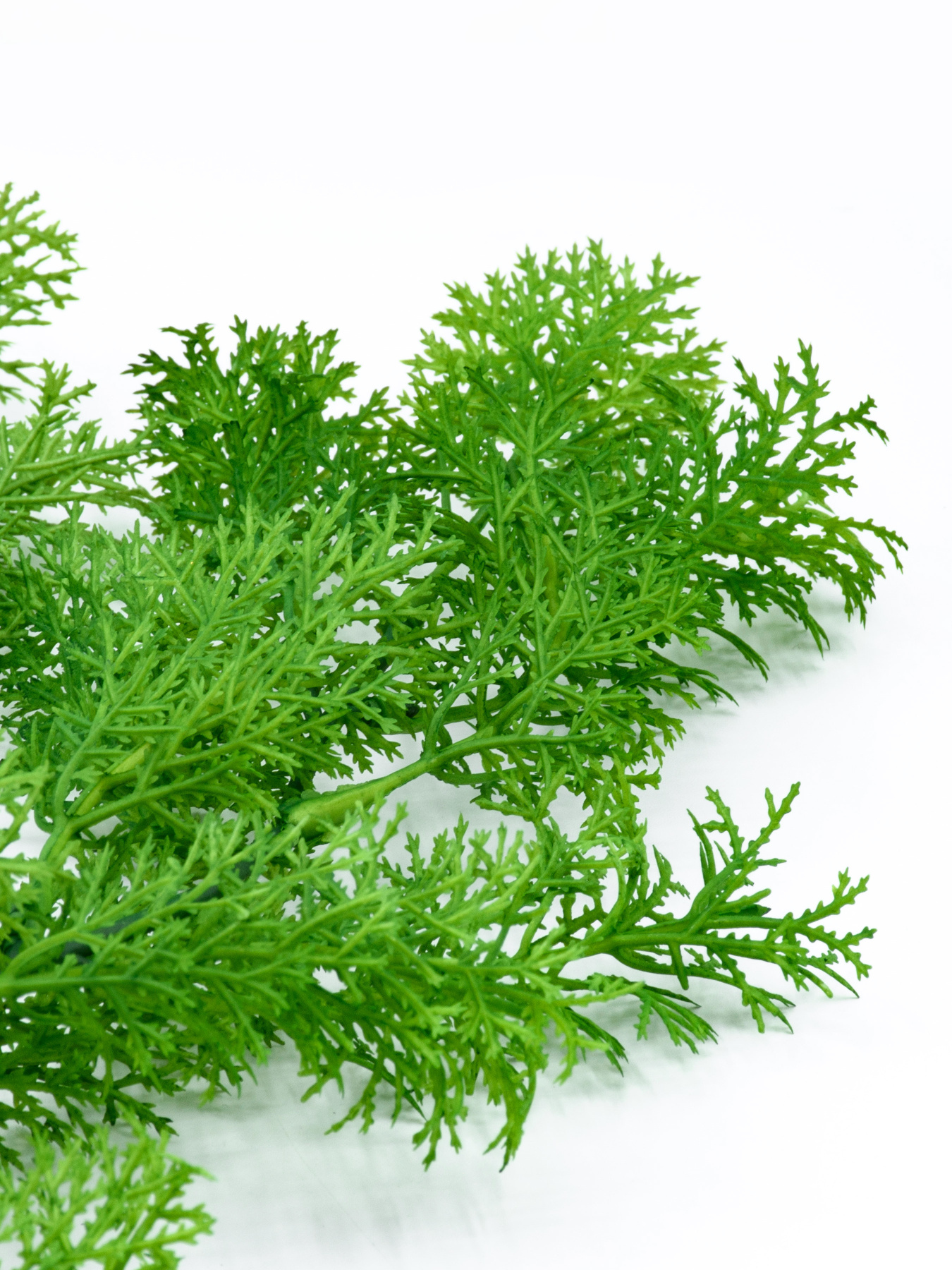 Искусственная ветка "Мох" Engard модель TW-31 Искусственная ветка "Мох" Engard модель TW-31 Фото