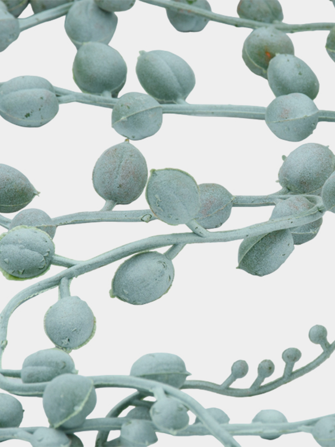 Штучна гілка "Хрестовник" Engard модель TW-49 Фото