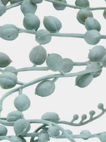 Штучна гілка "Хрестовник" Engard модель TW-49 Фото