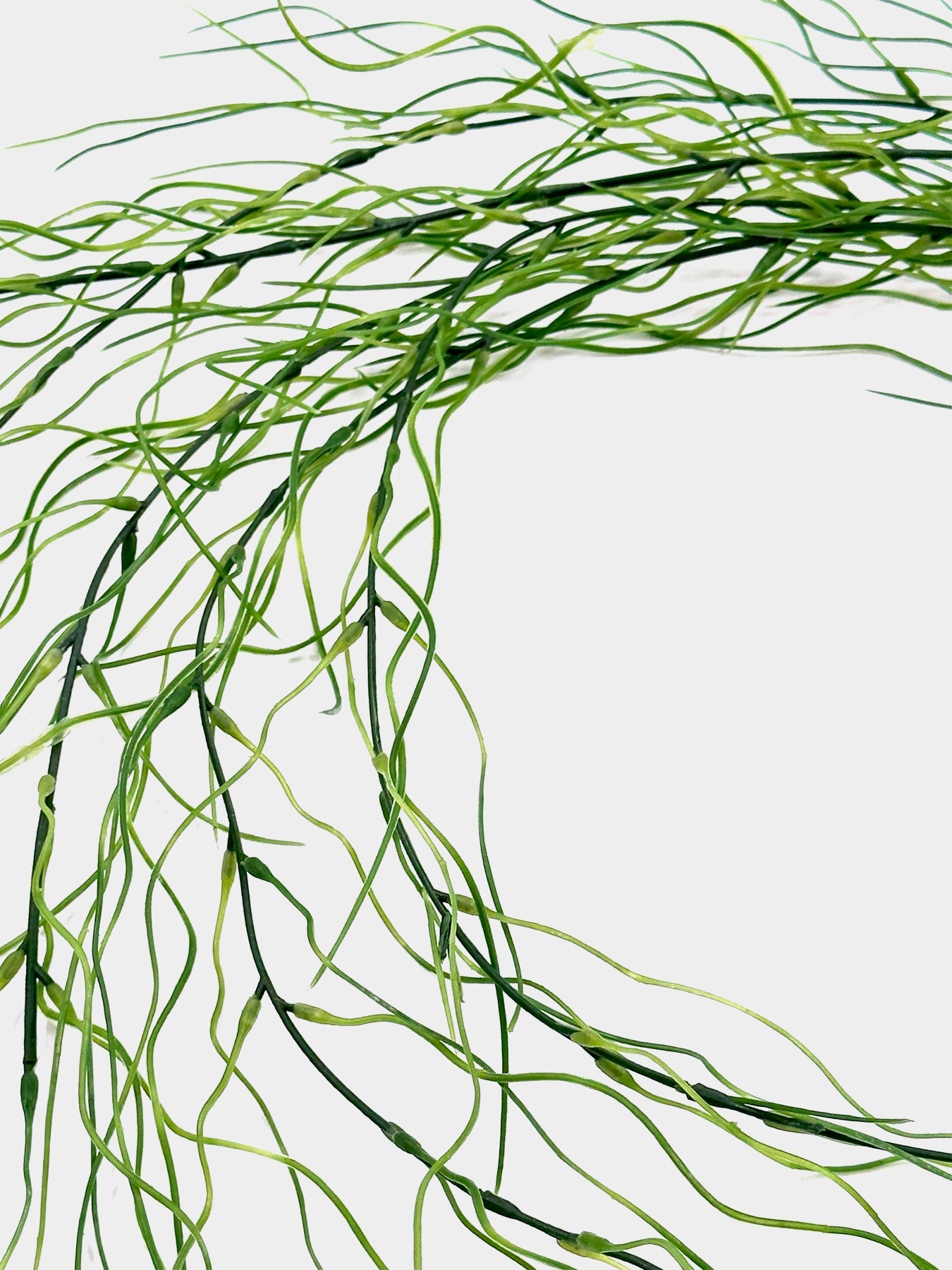 Штучна гілка "Хвощ" Engard модель TW-50 Фото