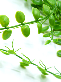 Искусственная ветка Engard модель AV-05 Фото