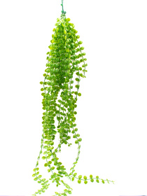 Искусственная ветка Engard модель AV-05 Фото