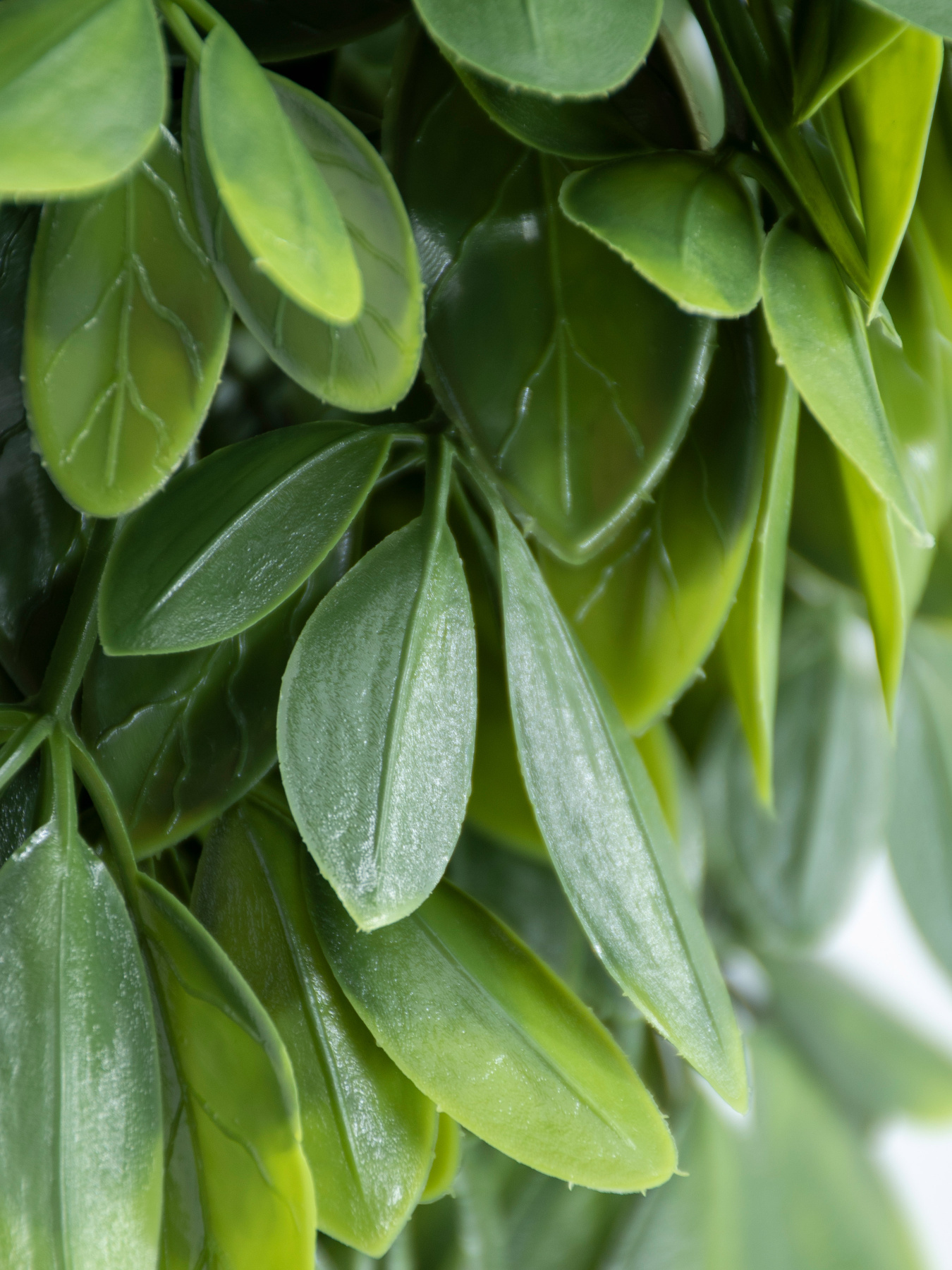 Искусственная ветка "Schefflera" Engard модель AV-02 Фото