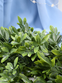 Искусственная ветка "Schefflera" Engard модель AV-02 Фото