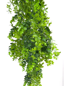 Искусственная ветка "Eucalyptus" Engard модель AV-03 Фото