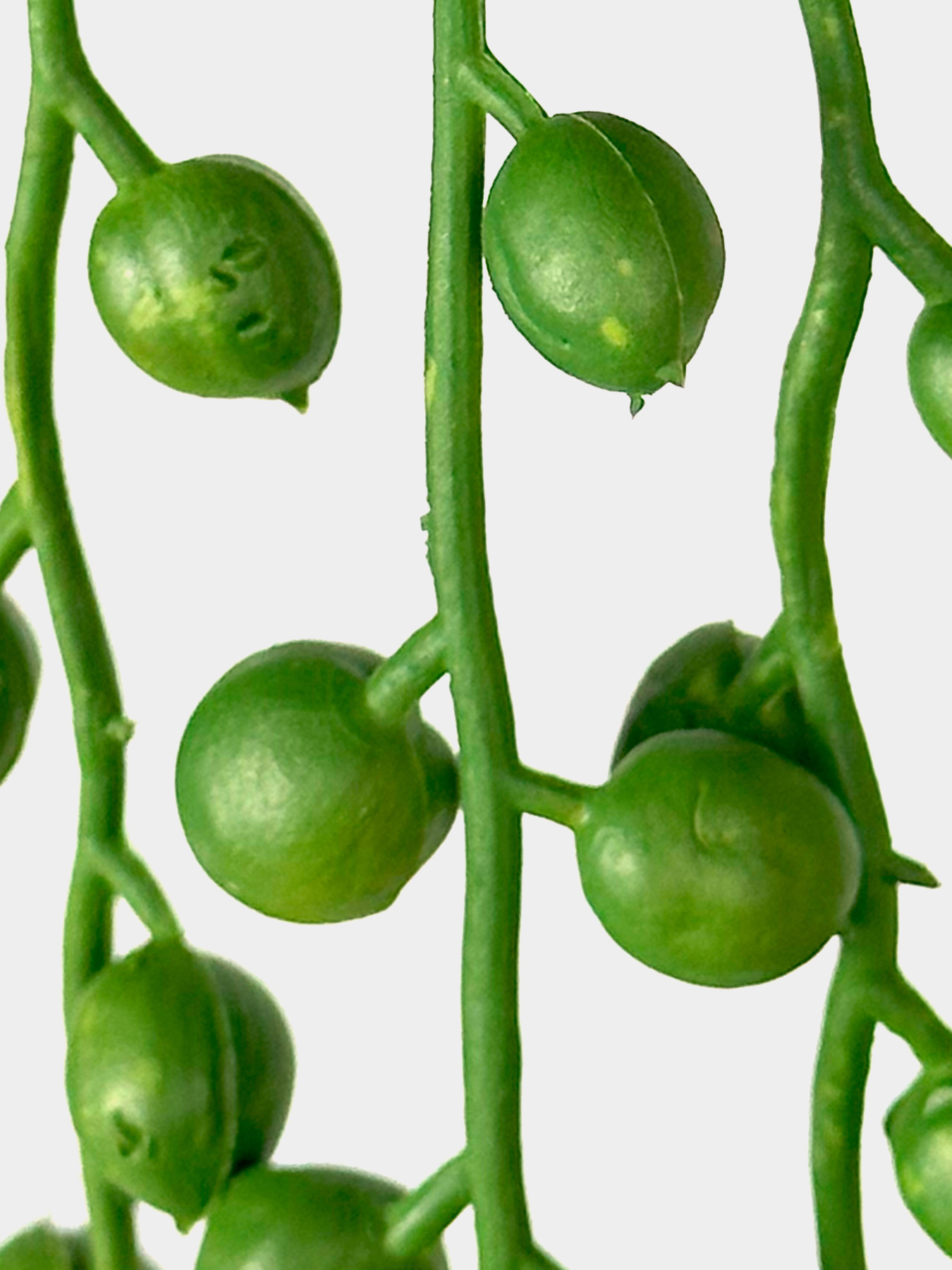 Искусственная ветка "Крестовник", 72 cм Engard модель TW-34 Фото