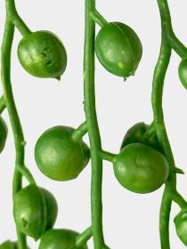 Искусственная ветка "Крестовник", 72 cм Engard модель TW-34 Фото