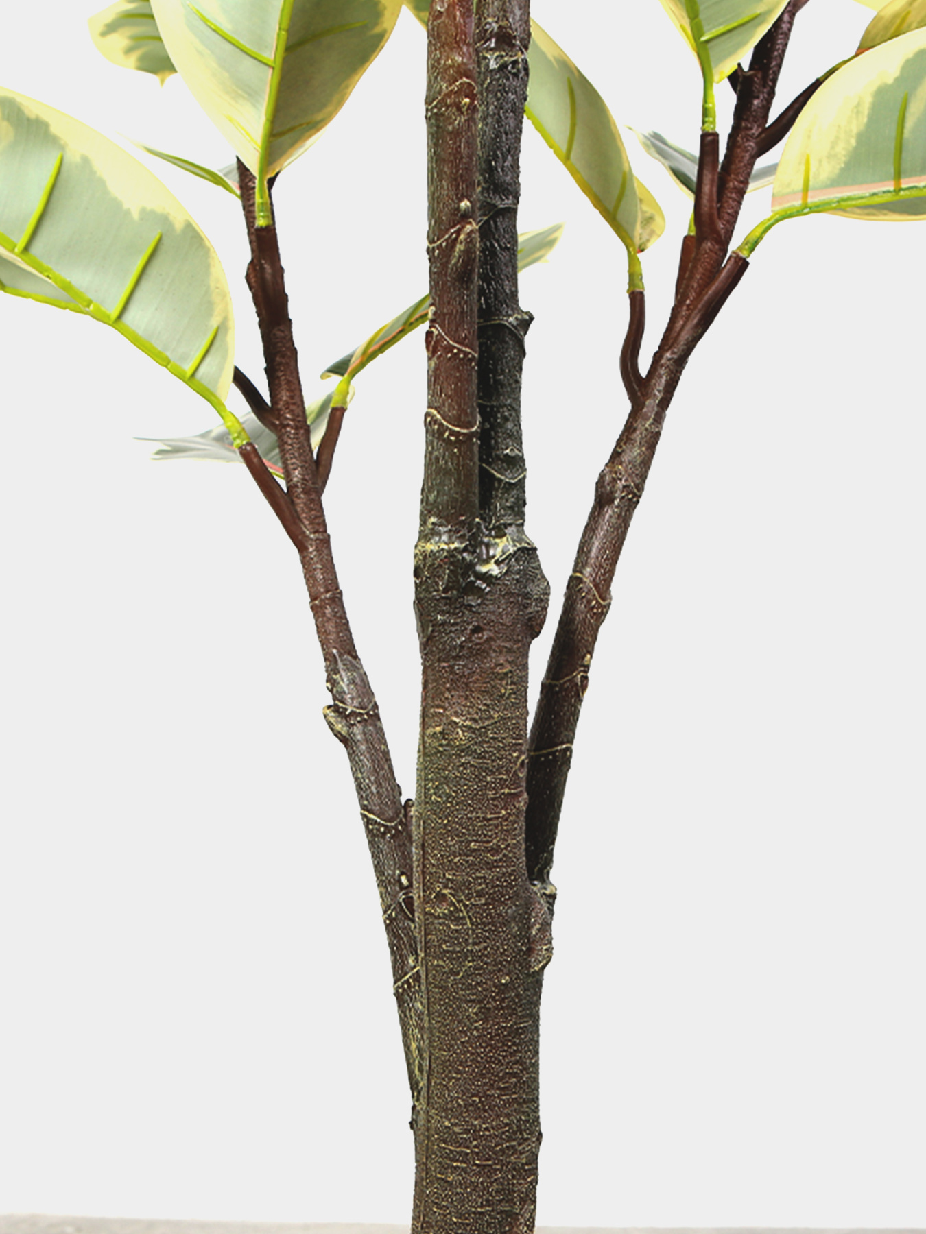 Штучна рослина "Фікус" Engard модель DW-05 Фото