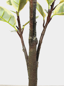 Штучна рослина "Фікус" Engard модель DW-05 Фото