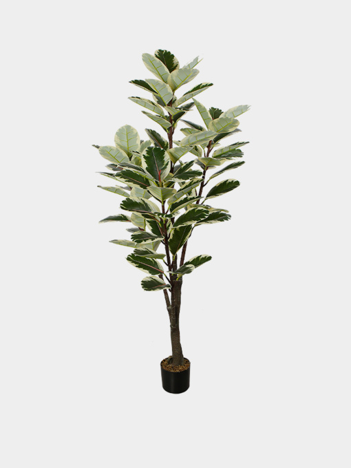 Искусственное растение "Фикус" Engard модель DW-05 Фото