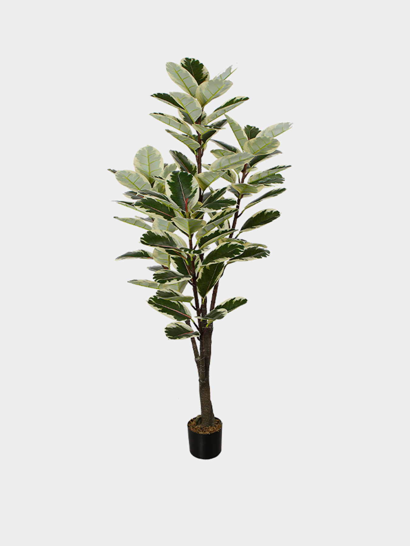 Штучна рослина "Фікус" Engard модель DW-05 Фото