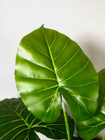 Искусственное растение "Taro" Engard модель DW-06 Фото