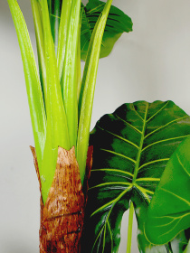 Искусственное растение "Taro" Engard модель DW-06 Фото