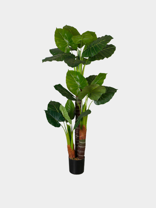 Искусственное растение "Taro" Engard модель DW-06 Фото
