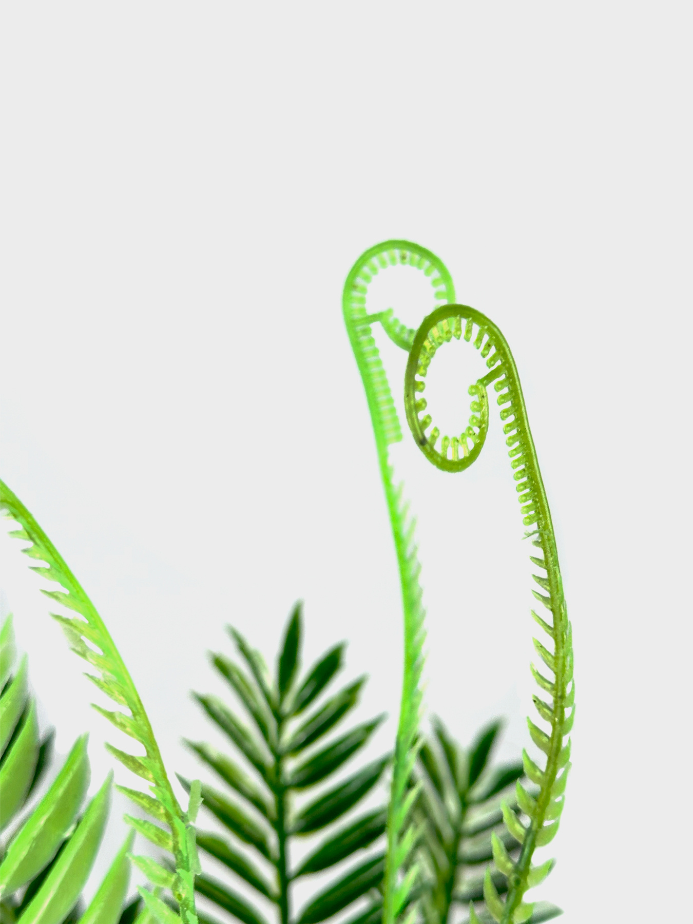 Искусственная ветка "Папоротник" Engard модель DW-15 Фото