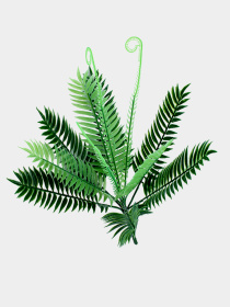 Искусственная ветка "Папоротник" Engard модель DW-15 Фото