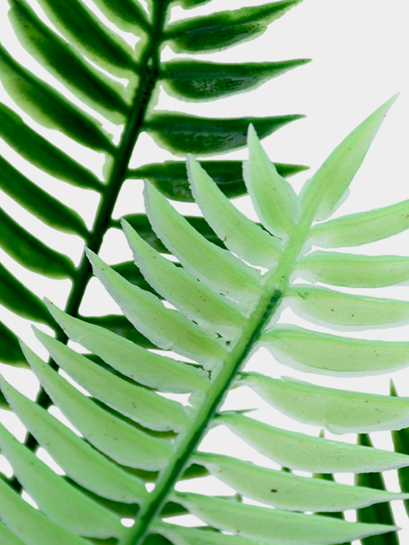 Штучна гілка "Папороть" Engard модель DW-15 Фото