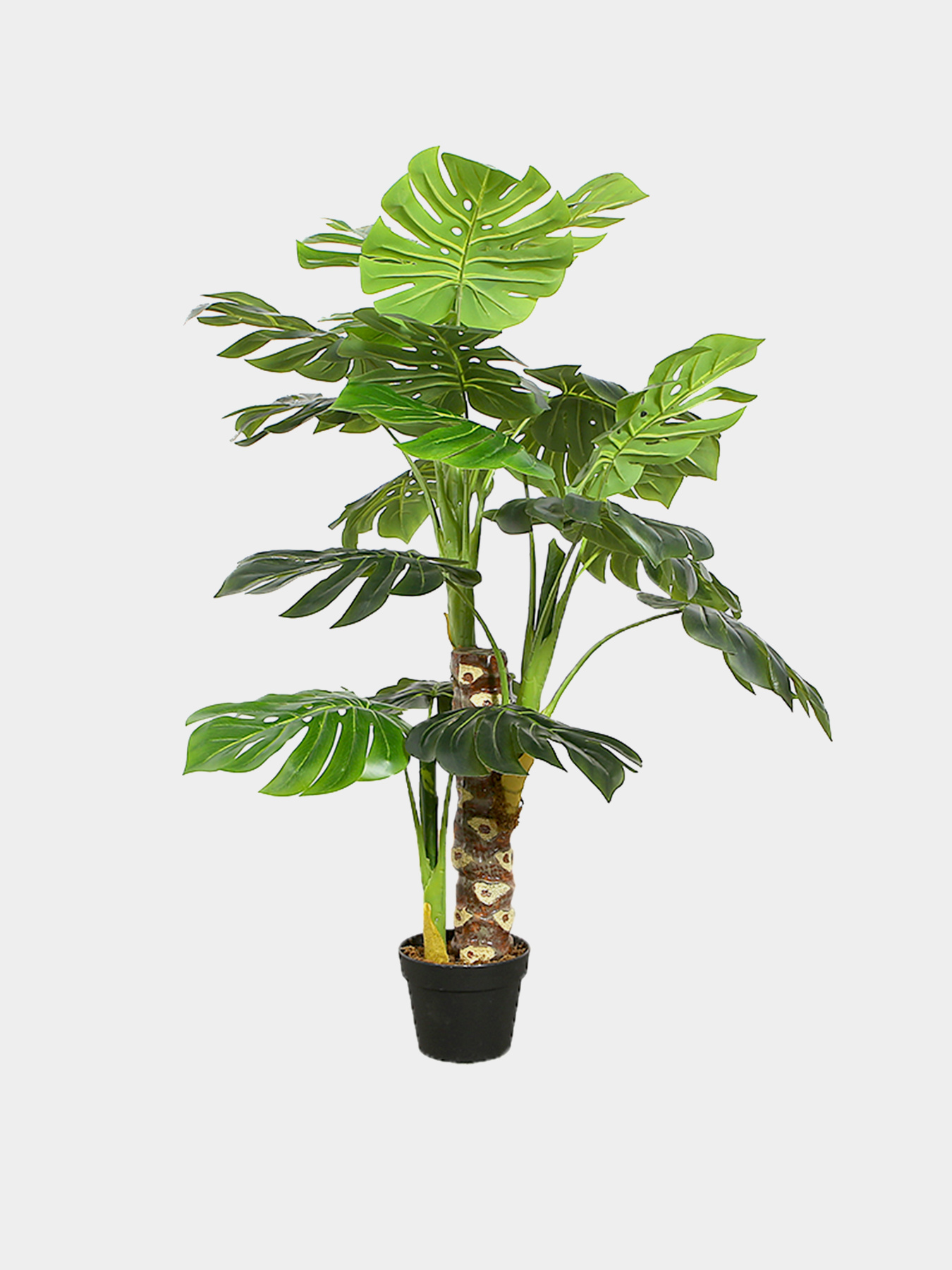 Искусственное растение "Monstera" Engard модель DW-21 Фото