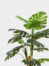 Искусственное растение "Monstera" Engard модель DW-21 Фото