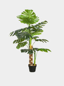 Искусственное растение "Monstera" Engard модель DW-21 Фото