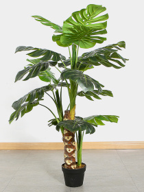 Искусственное растение "Monstera" Engard модель DW-21 Фото