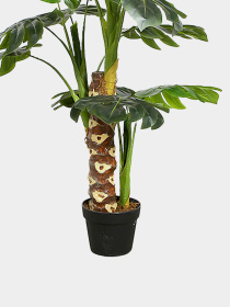 Штучна рослина "Monstera" Engard модель DW-21 Фото