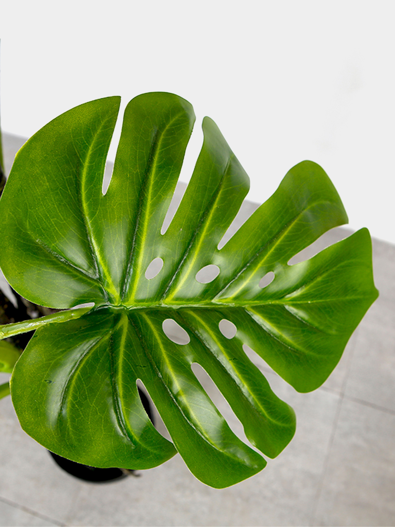 Штучна рослина "Monstera" Engard модель DW-22 Фото