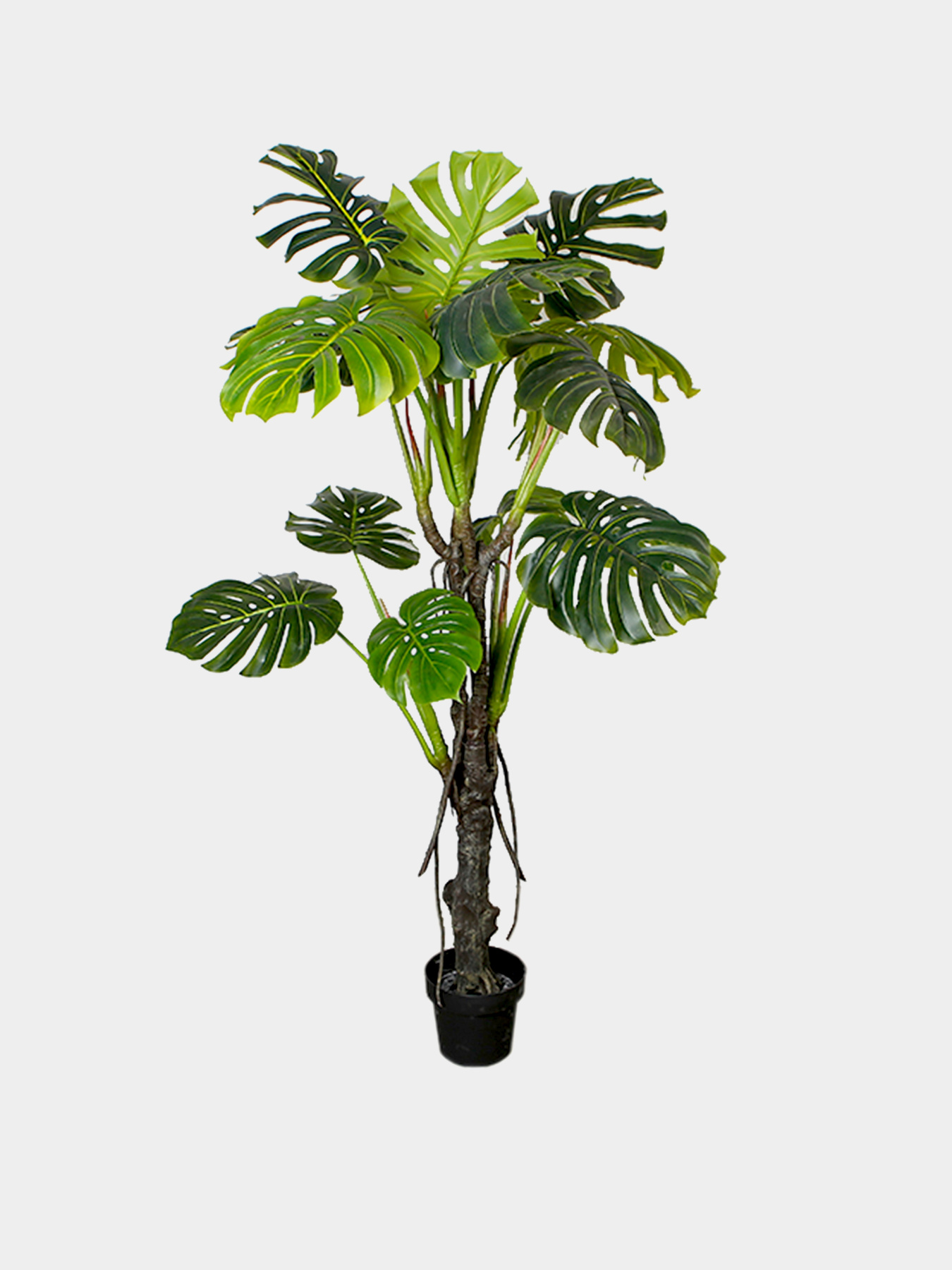 Штучна рослина "Monstera" Engard модель DW-22 Фото