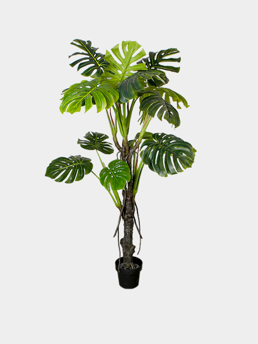 Искусственное растение "Monstera" Engard модель DW-22 Фото