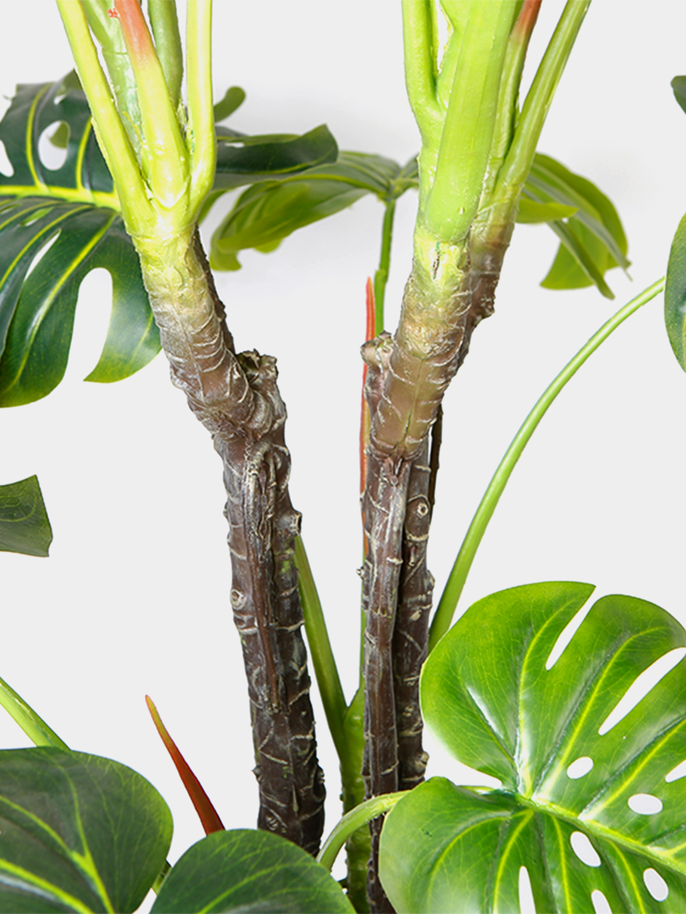 Штучна рослина "Monstera" Engard модель DW-22 Фото